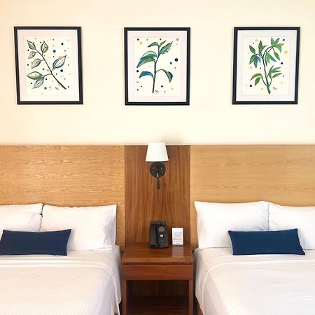 Hotel Plaza Rioverde Río Verde Eksteriør billede