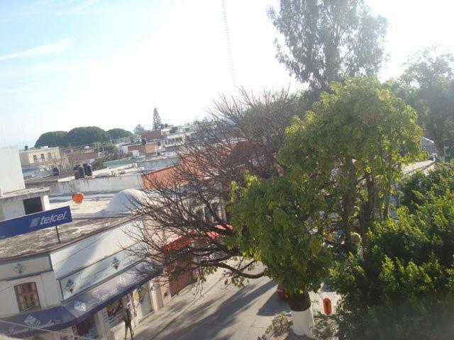Hotel Plaza Rioverde Río Verde Eksteriør billede