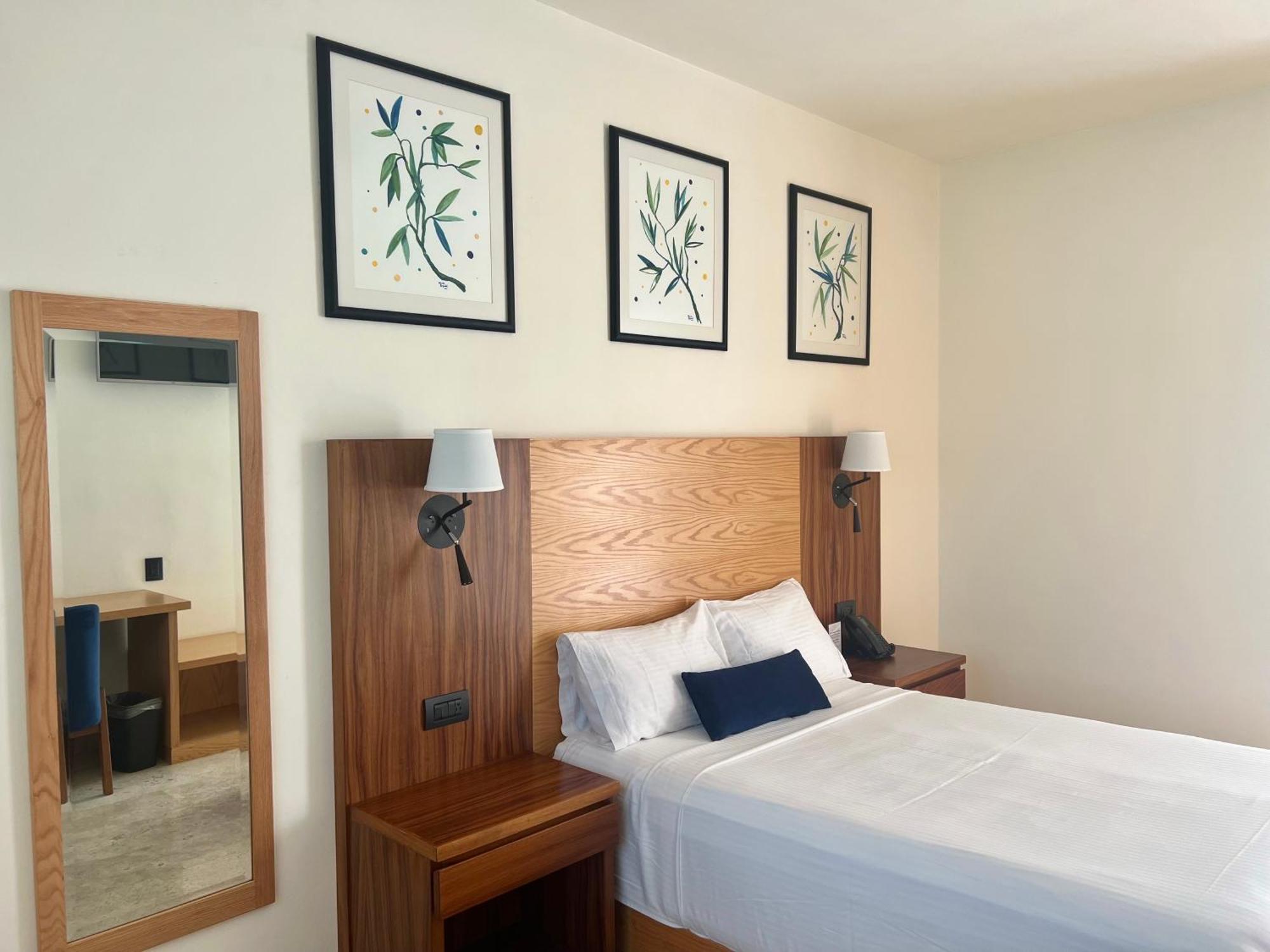 Hotel Plaza Rioverde Río Verde Eksteriør billede